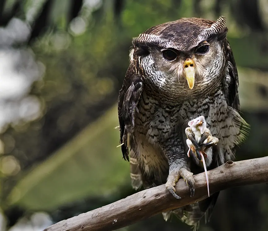 fotografias fotografias