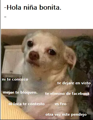 Recopilación de Memes + Yapa (Parte II) .-.