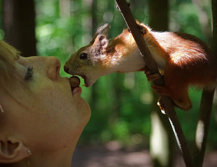 17 impresionantes fotografías de animales por el mundo 17 impresionantes fotografías de animales por el mundo