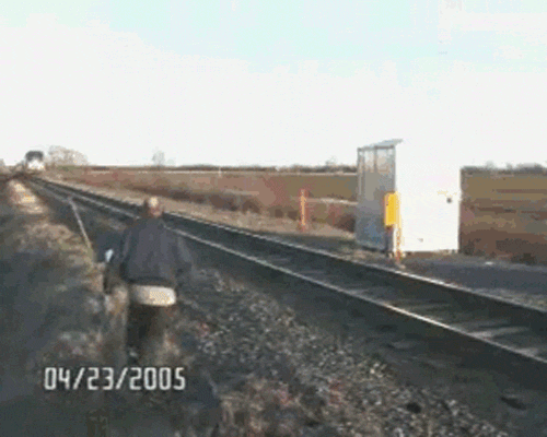 Gifs