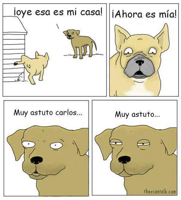 aguante el paco rabbane