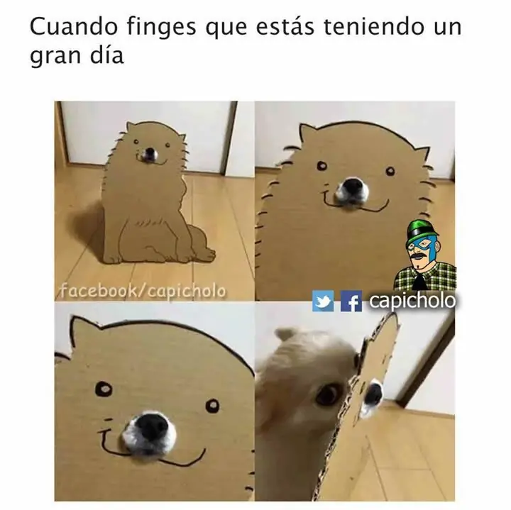 +5 Puntos si te reis sino me denuncias (parte 2)