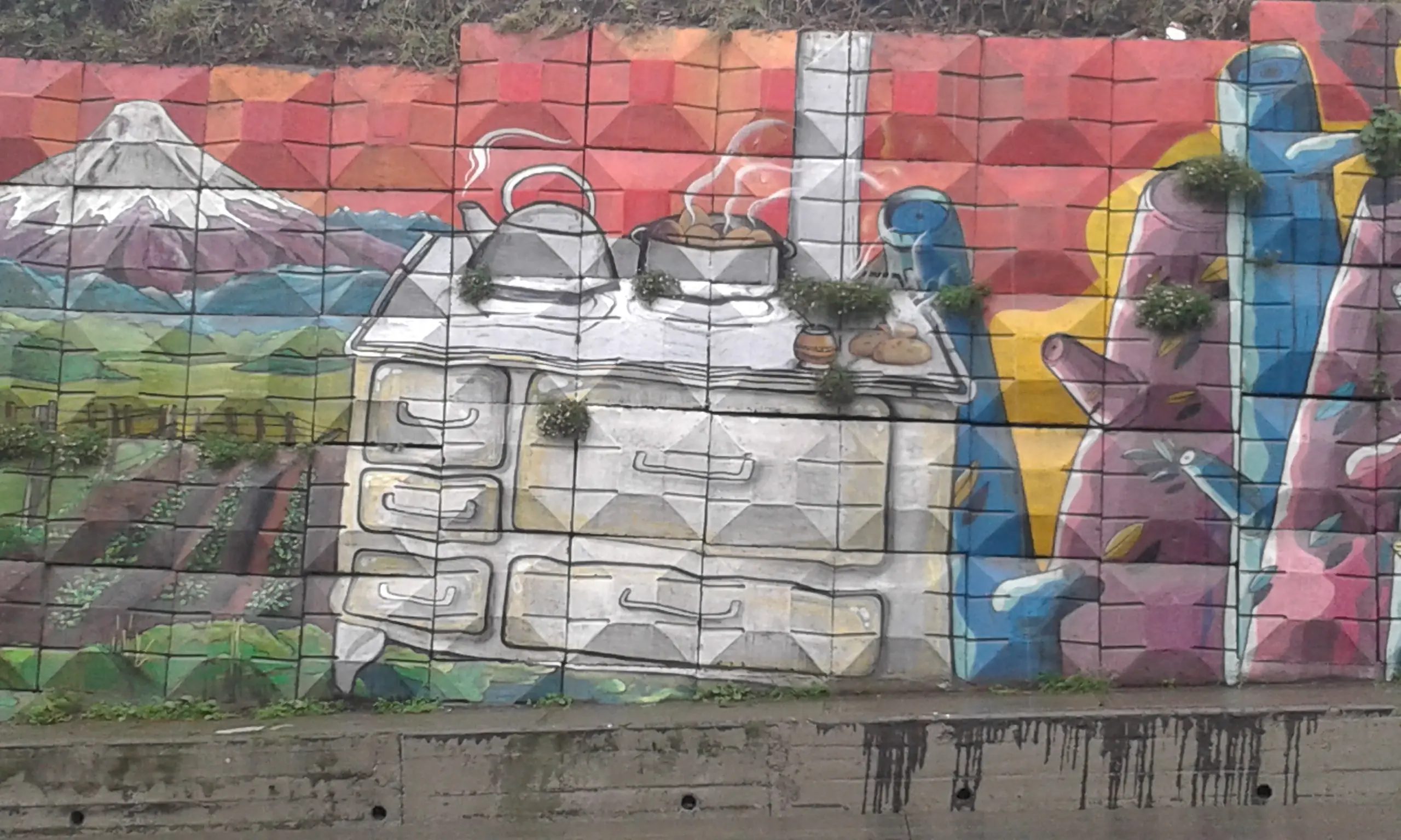 colores colores