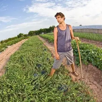 fuera monsanto fuera monsanto