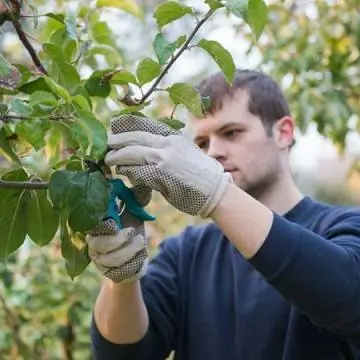 Sicilia recupera su agricultura y vence multinacionales