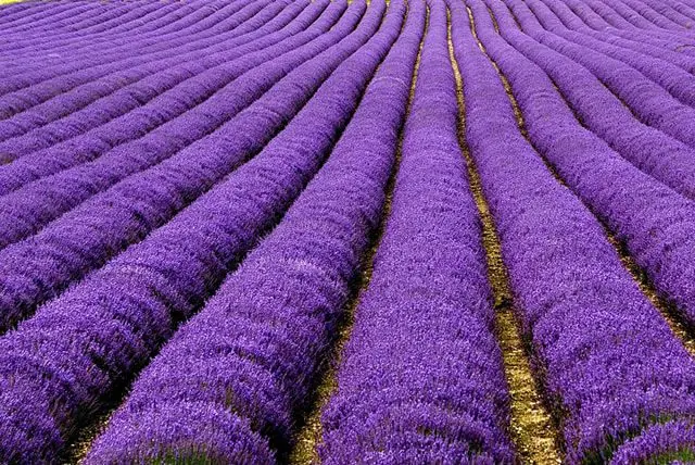 22 lugares increíbles 22 lugares increíbles