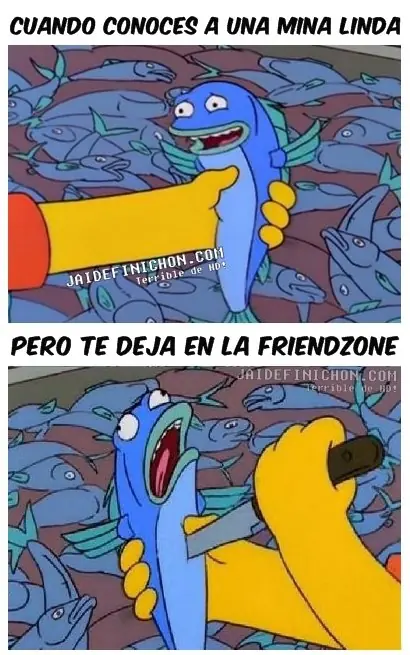 fotos
