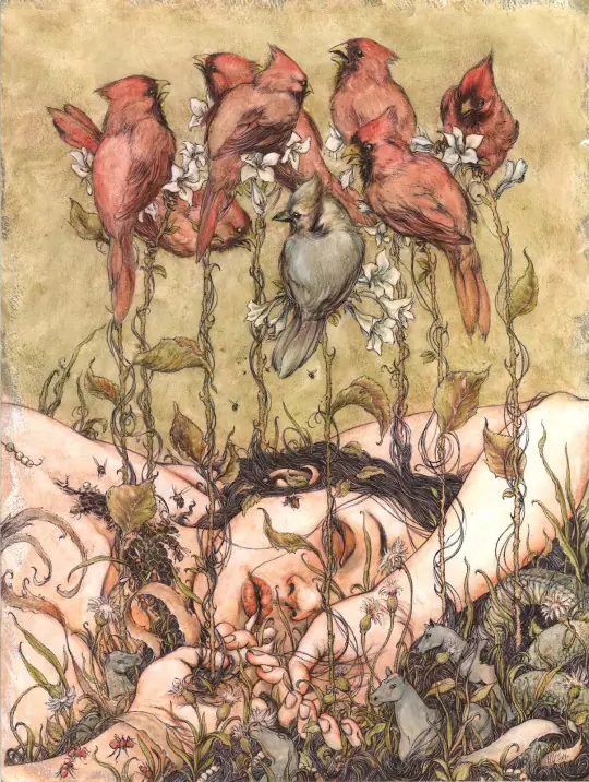 ilustraciones ilustraciones