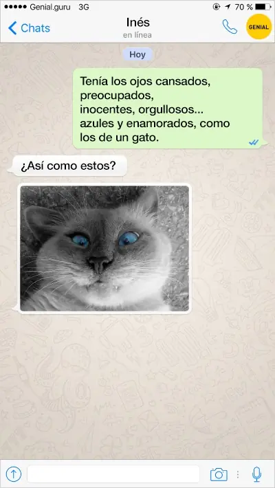 cinicos