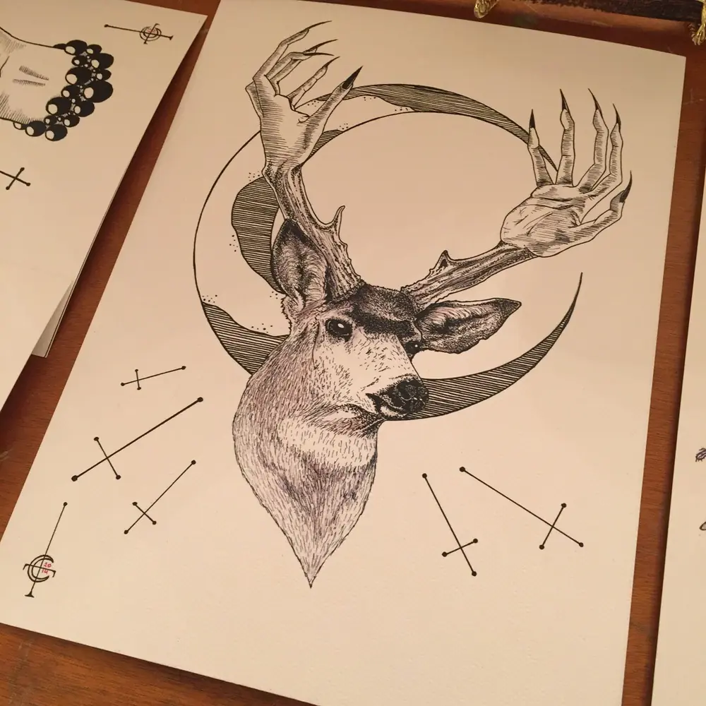 Animales