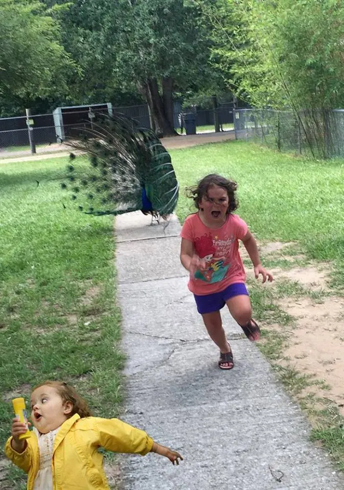 se asusta