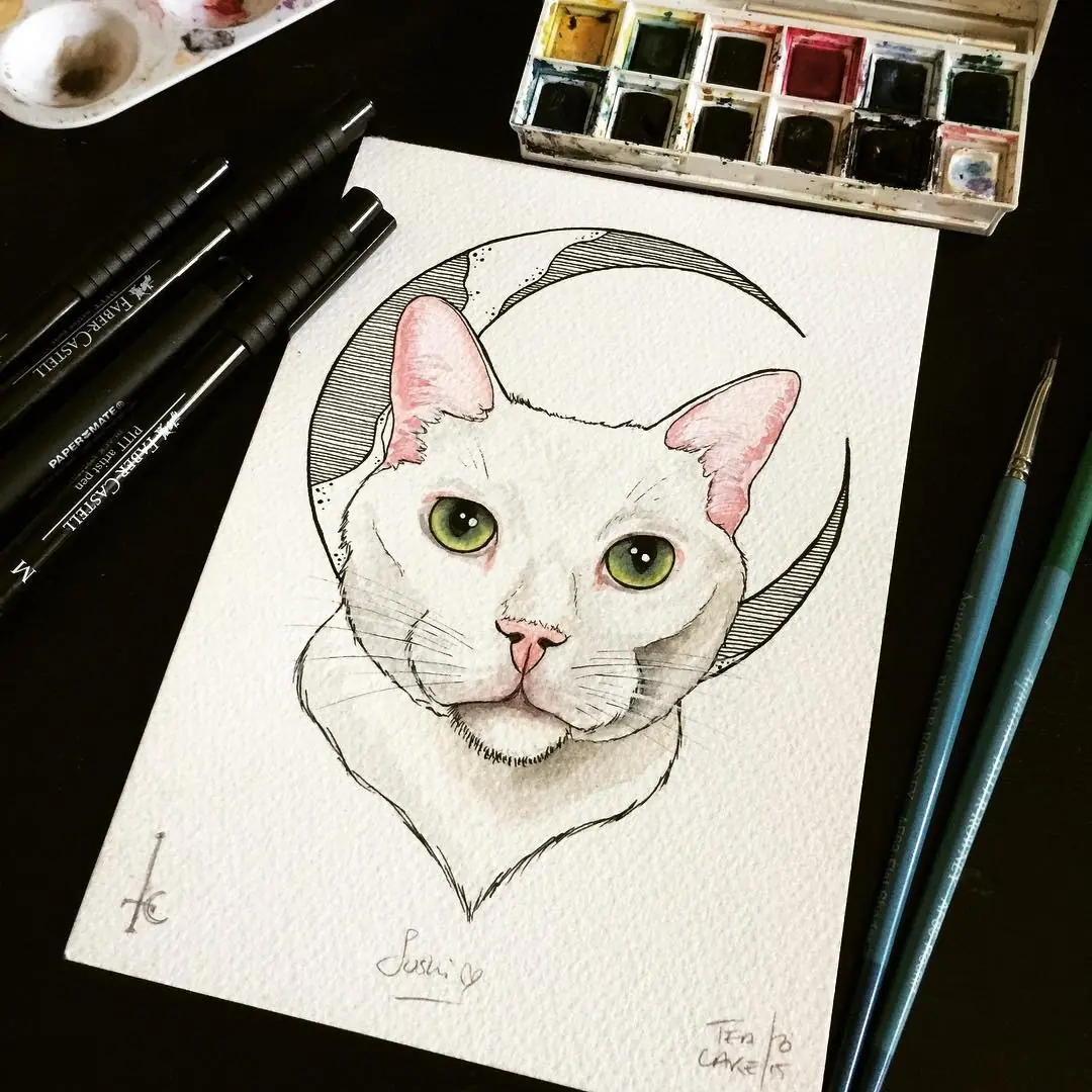 Animales