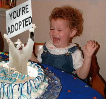 fail