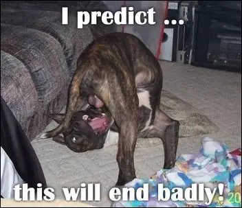 LOL