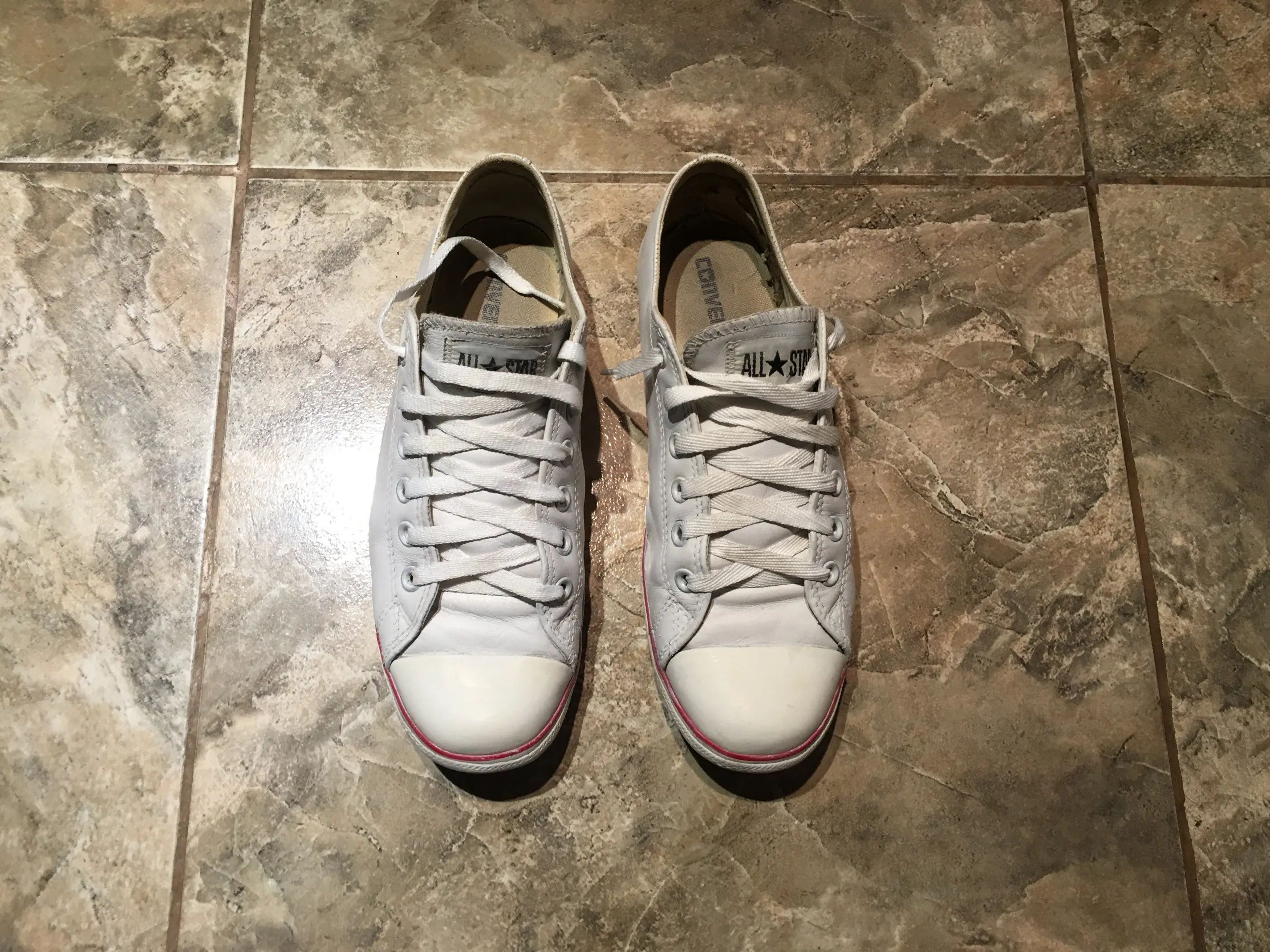 giuseppe zanotti giuseppe zanotti