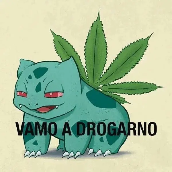 fotos