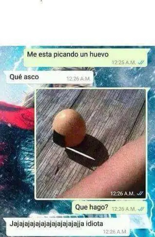 Humor para acortar la semana