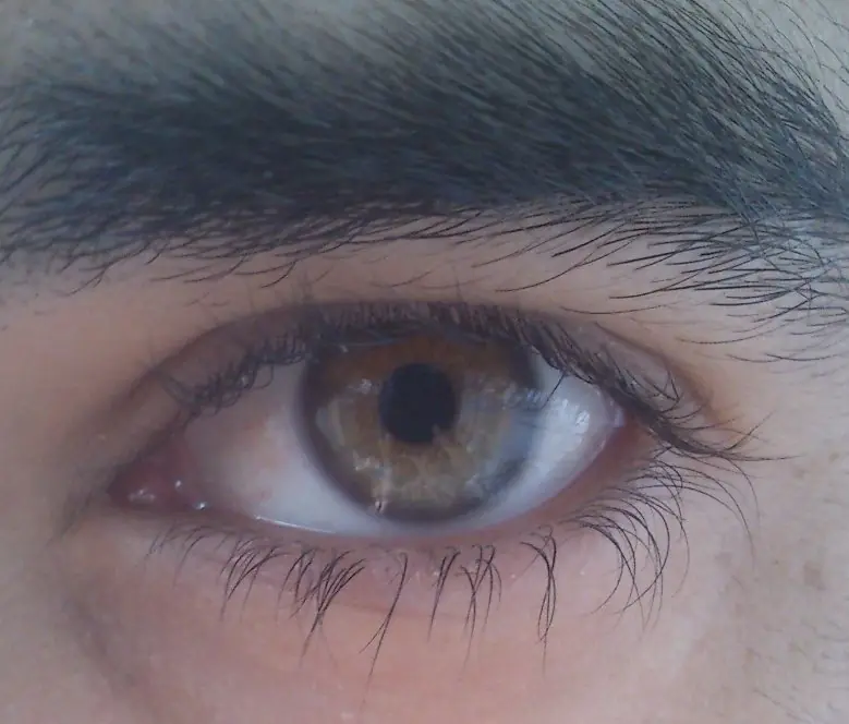 El OJO HUMANO Datos, Mitos y Curiosidades