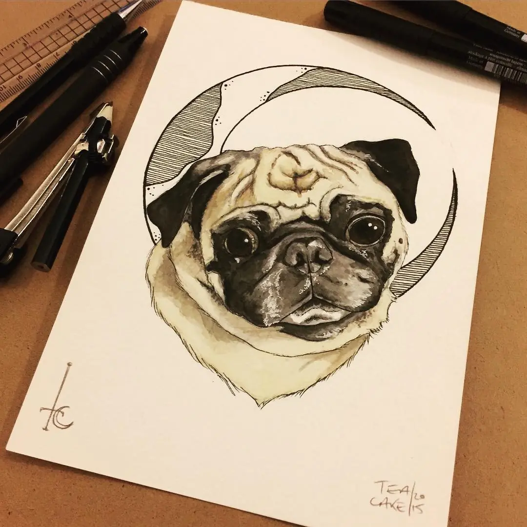 ilustraciones