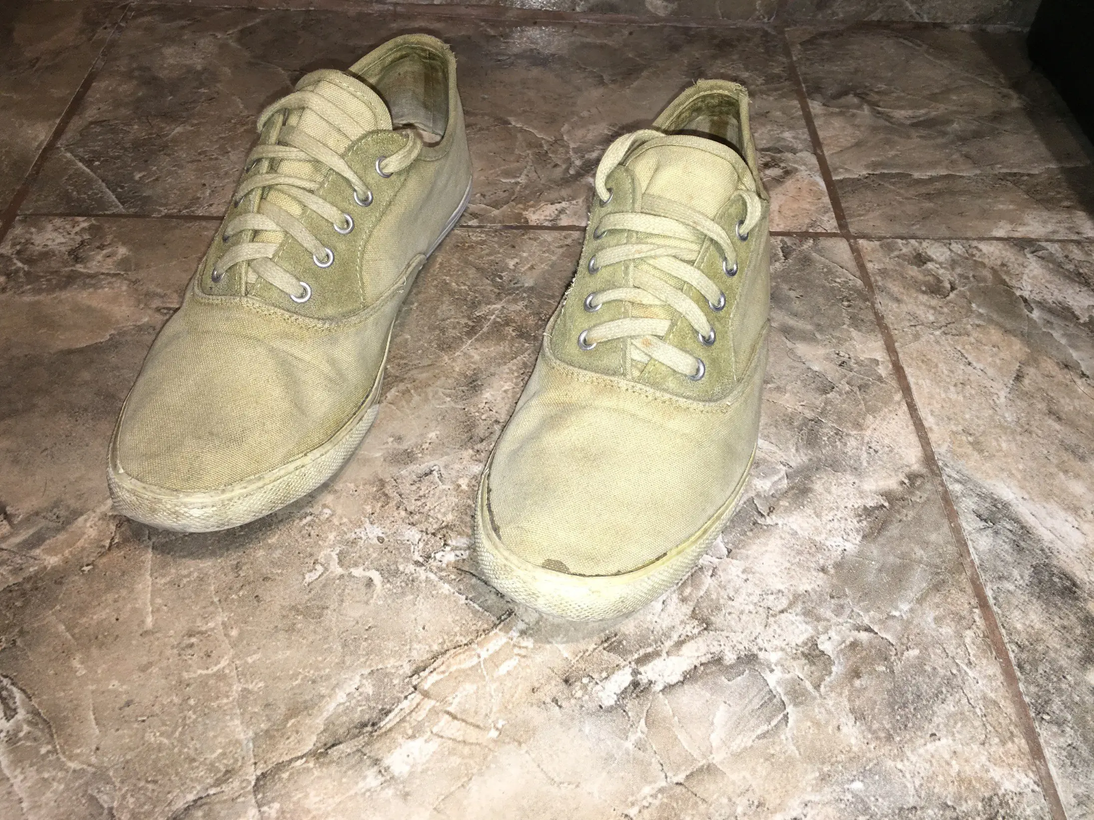 te muestro mis zapatillas te muestro mis zapatillas