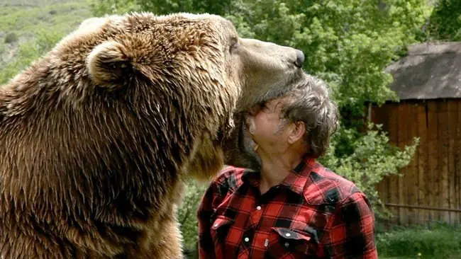 Hombre se va a puñetazos con un oso y acaba con rasguños