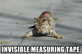 Megapost Los Gatos y sus Cosas Invisibles