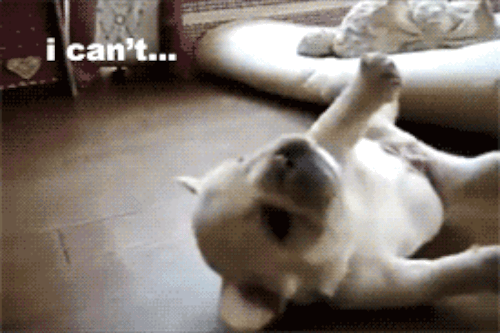 Gifs