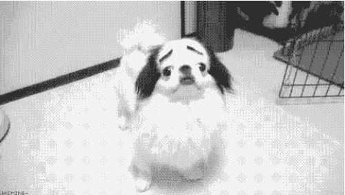 Gifs