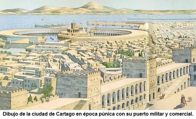 tercera