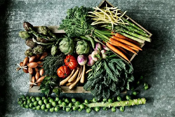 verdades y creencias sobre algunos alimentos verdades y creencias sobre algunos alimentos