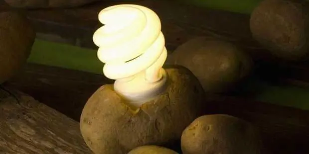 Luz