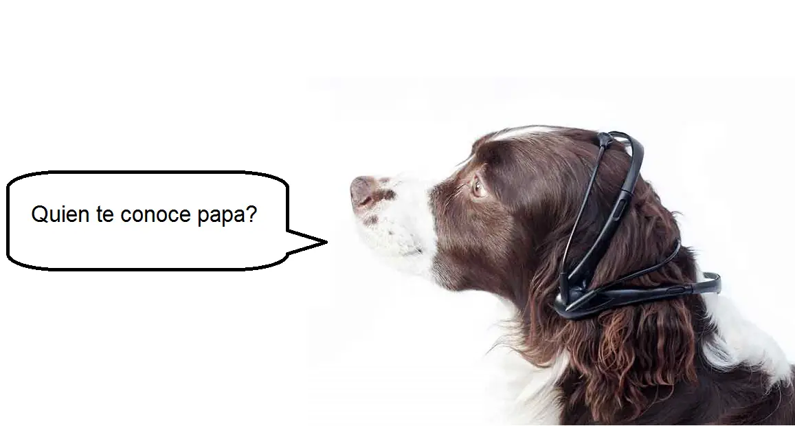 perro perro