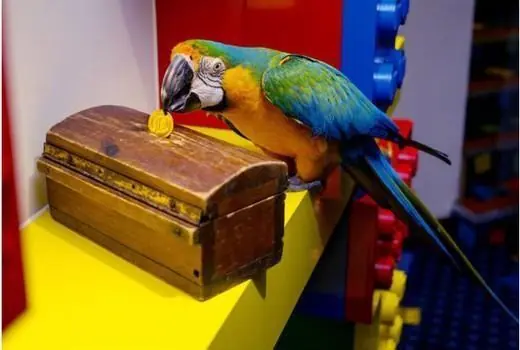Animales