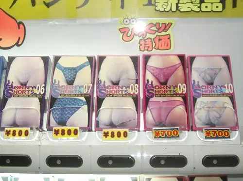 Top Curiosidades del japon