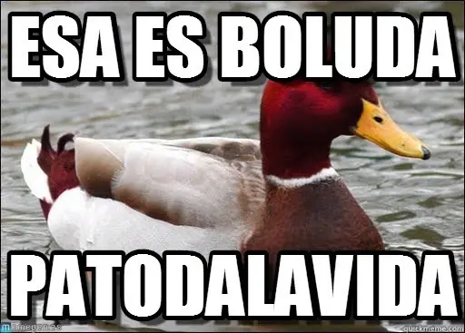 preguntas boludas