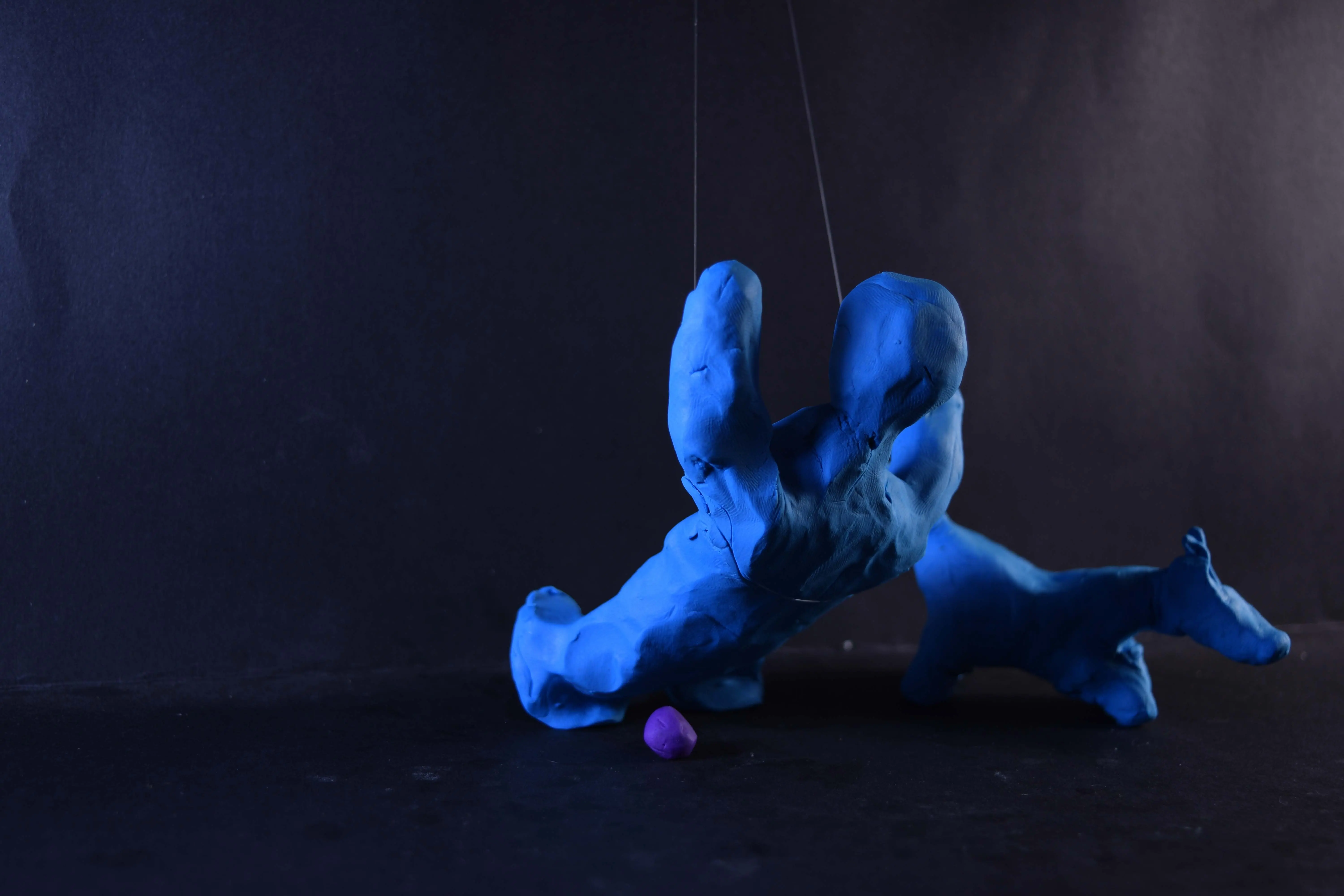stop motion