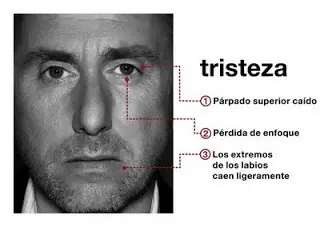 Lenguaje Corporal - Significado de las emociones: TRISTEZA