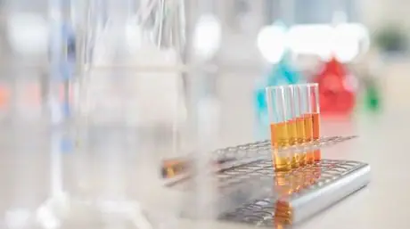 Resucitan a un microanimal congelado hace 30 años