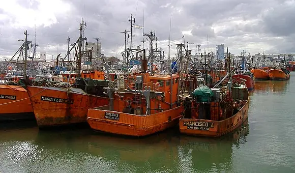 Clasificación y descripción de buques pesqueros argentinos