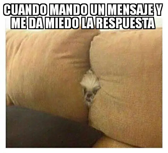 ocio