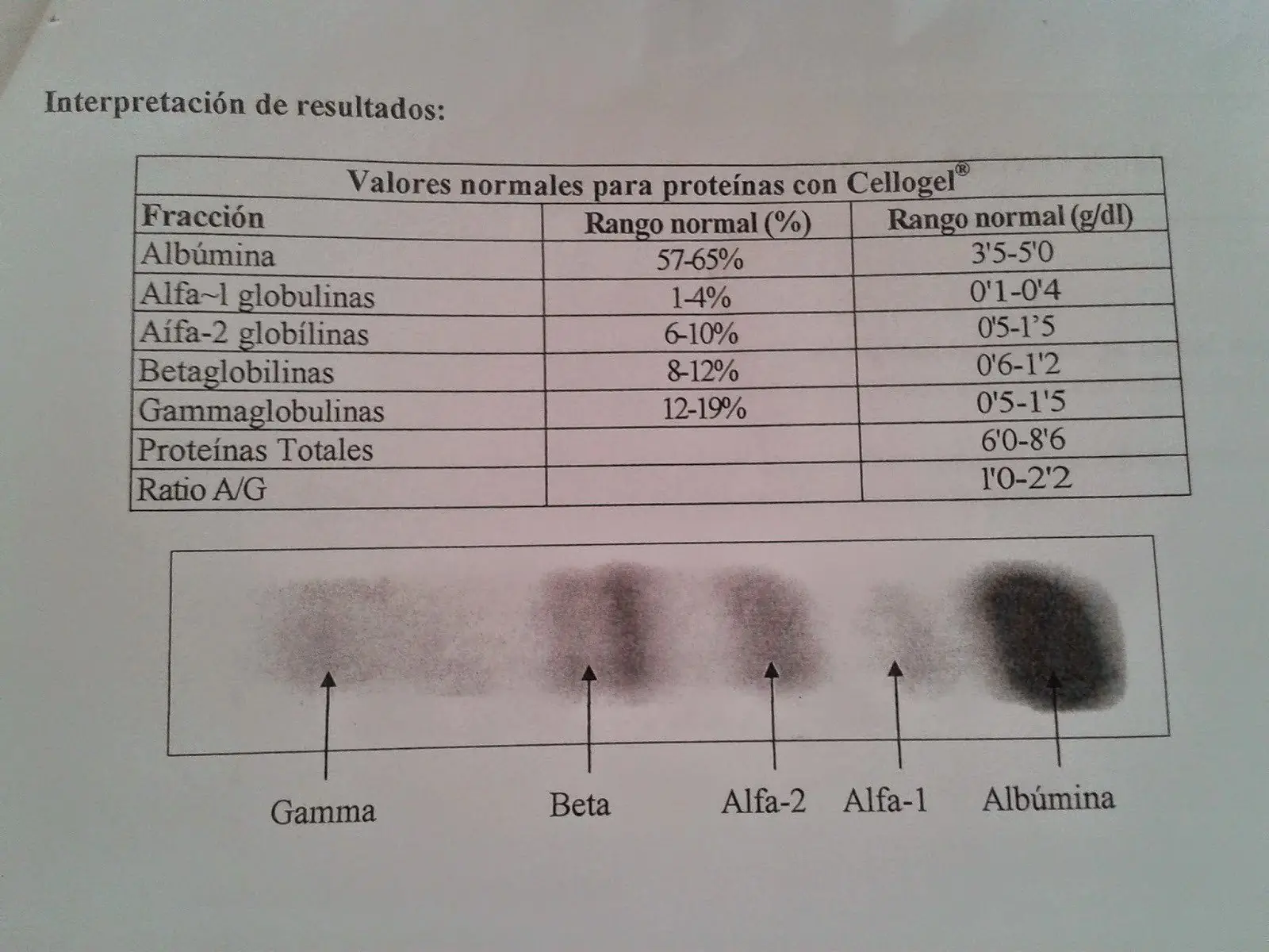 Medicina