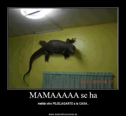 Humor de Toda Clase