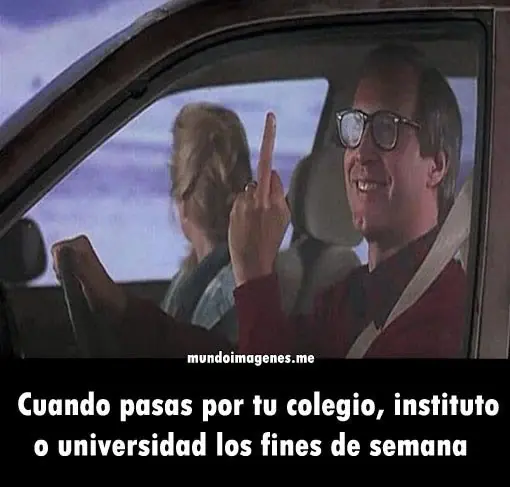 fotos