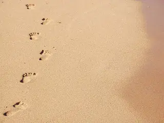 Que nos explote el corazón todos los días
