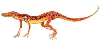 Evolución del Gavialis gangeticus