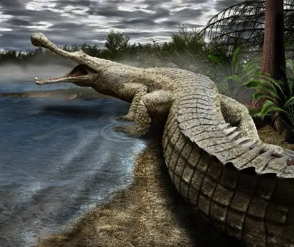 gavial