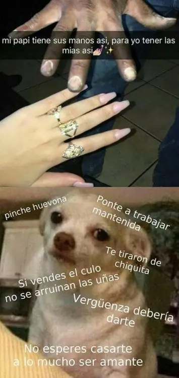 ocio