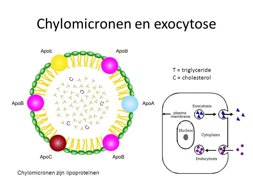 Bioquimica