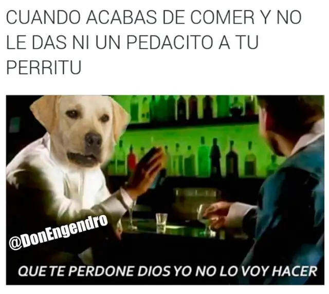 imagenes