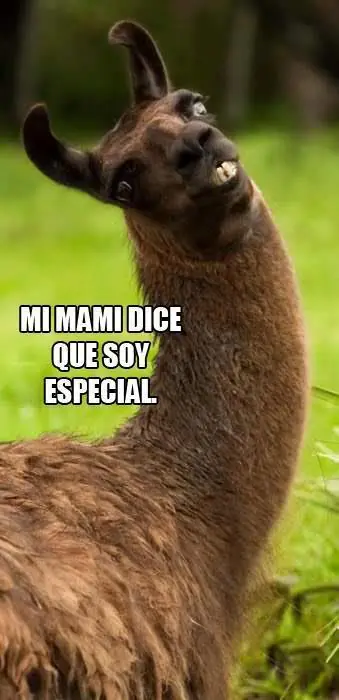 Humor de Toda Clase